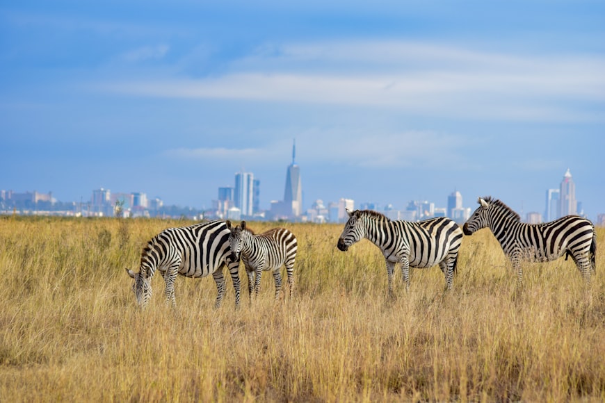 Westlands Nairobi